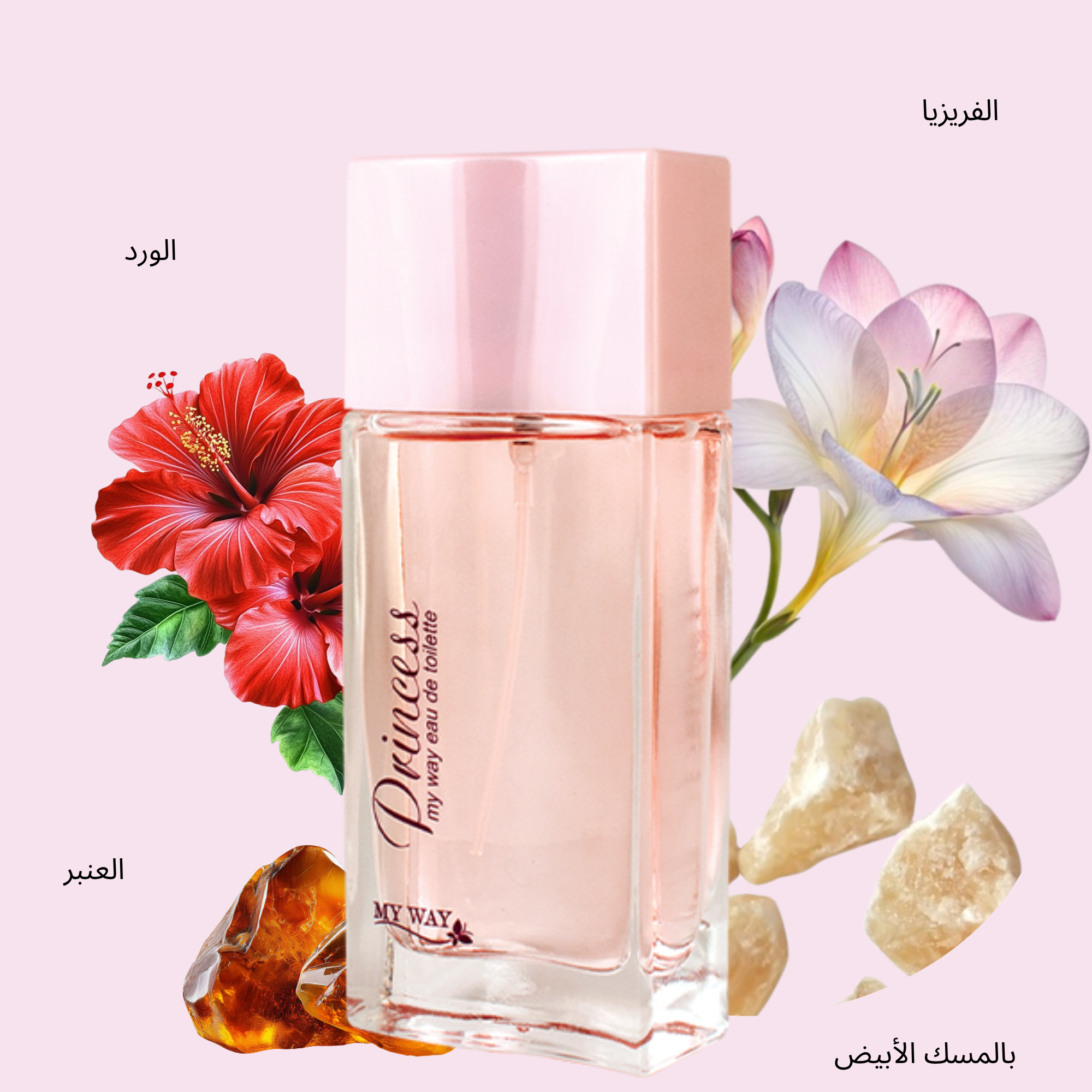 ورود - 2025-10-14T150824.761