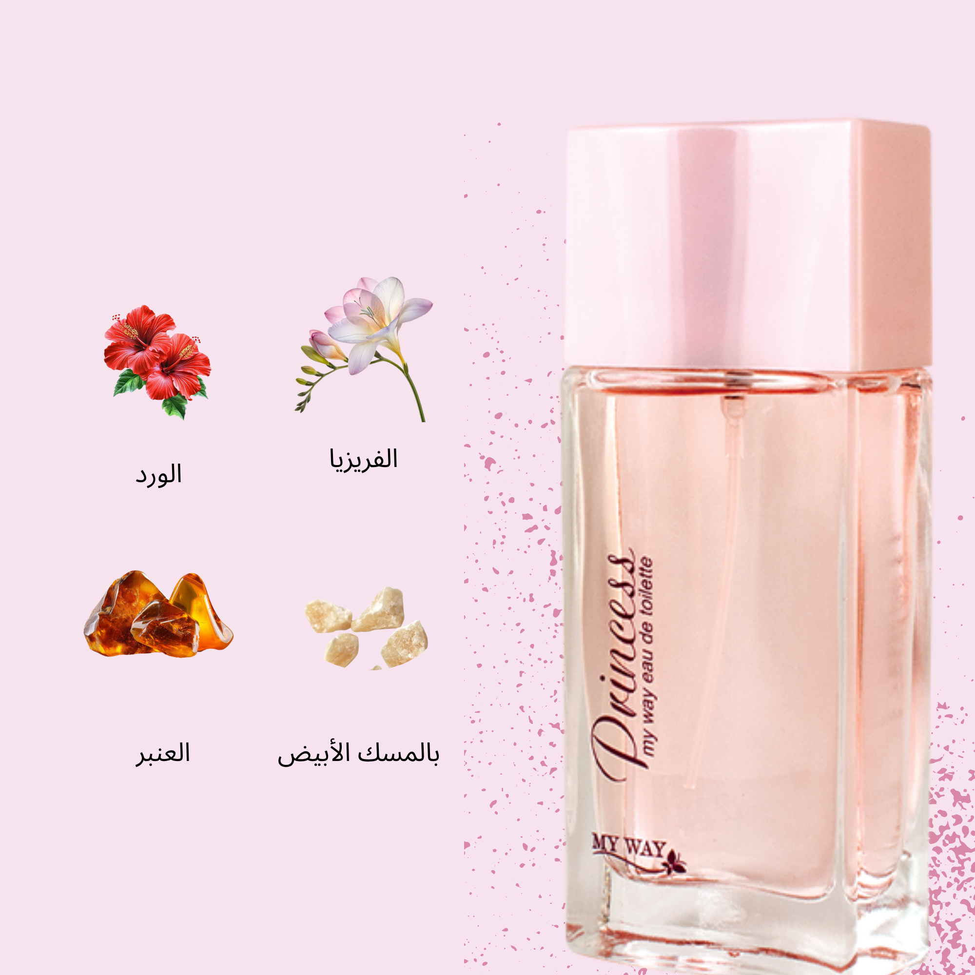 ورود - 2025-10-14T150958.917