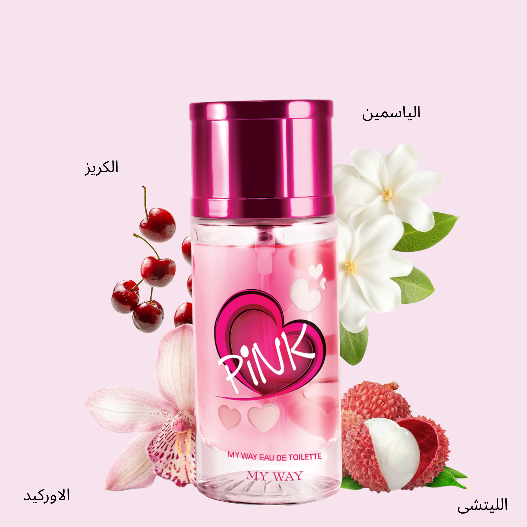 ورود - 2025-10-14T155133.217