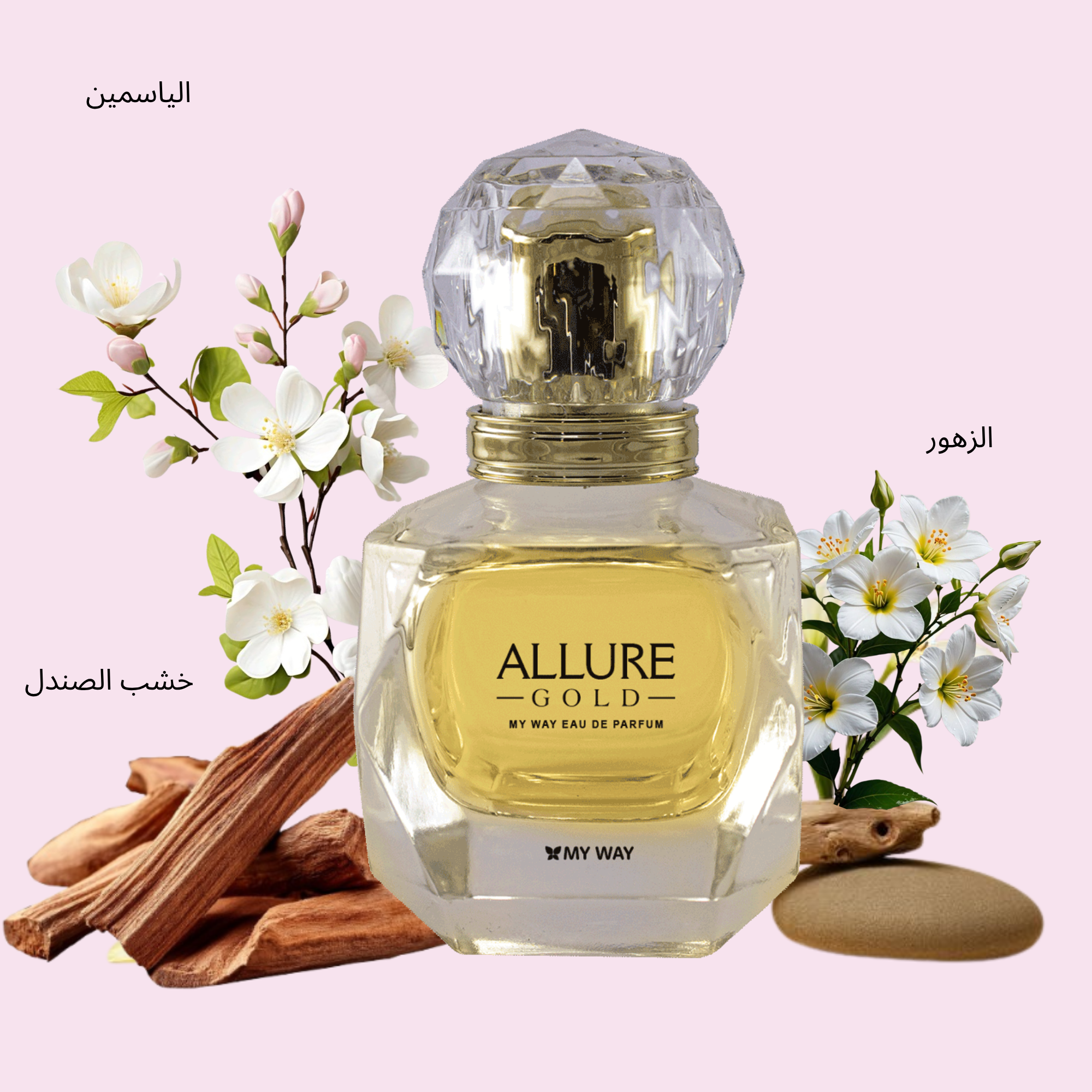 ورود - 2025-10-15T115749.236