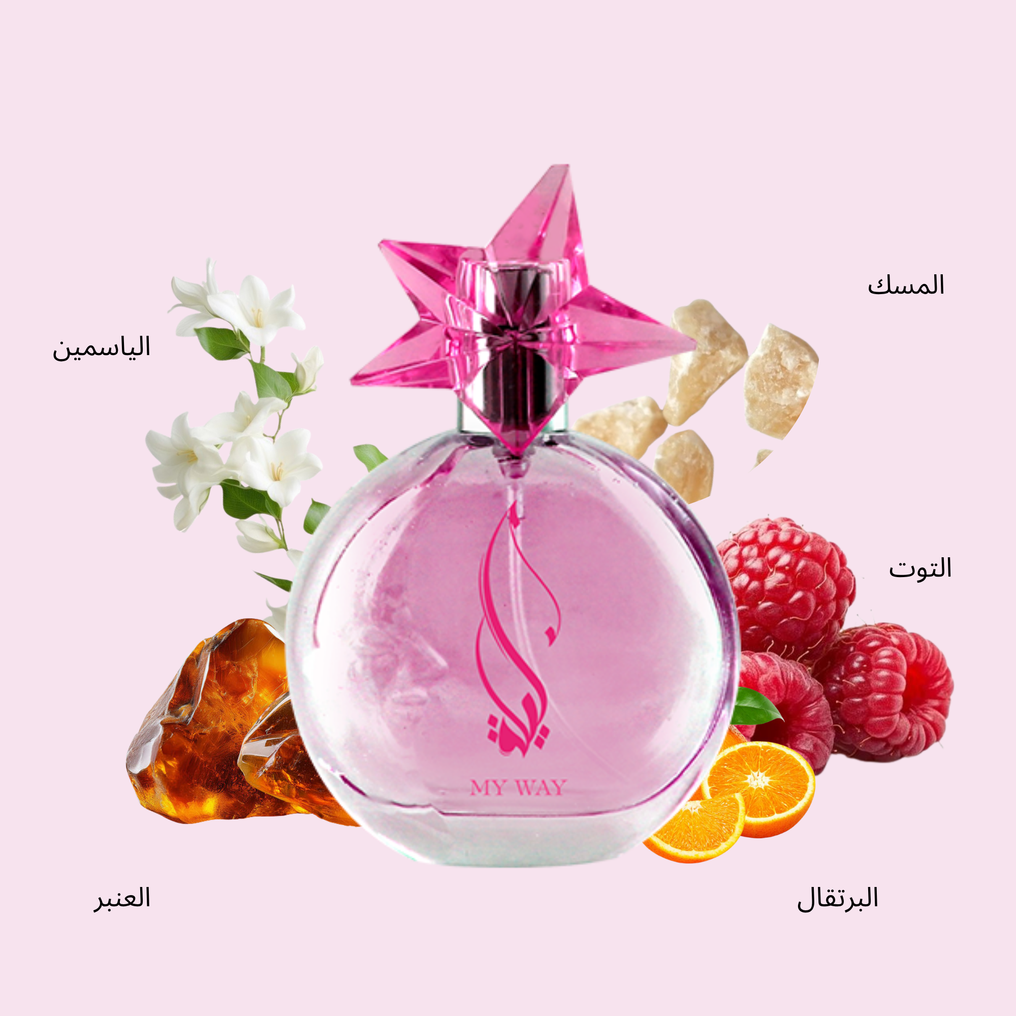 ورود - 2025-10-15T122722.626