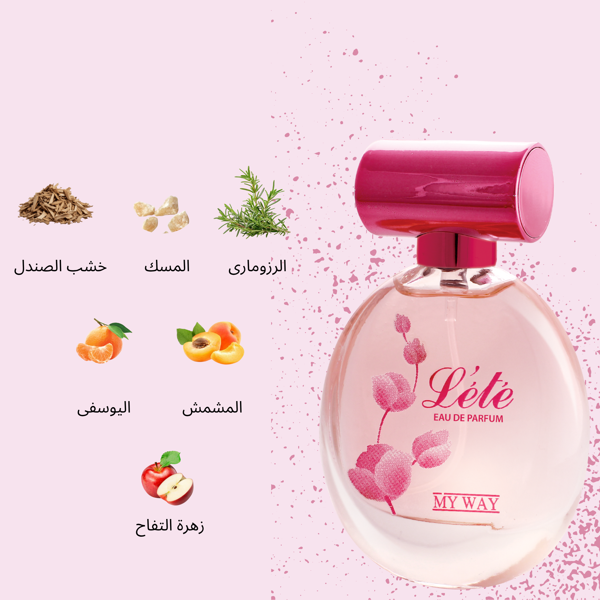 ورود - 2025-10-15T124024.598