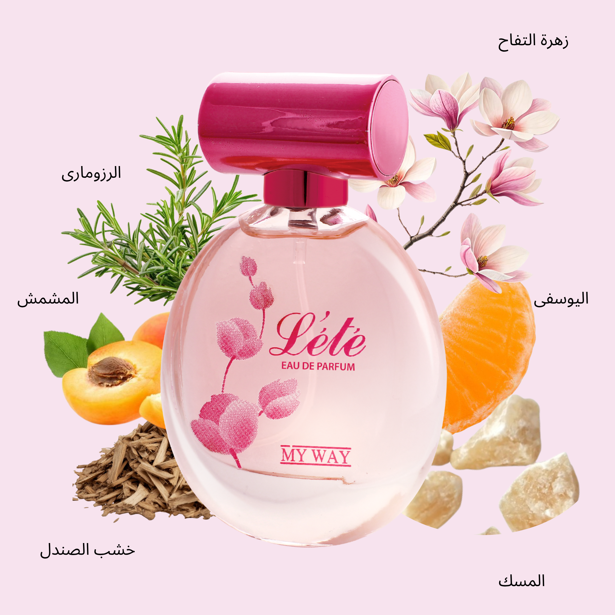 ورود - 2025-10-15T131513.644